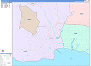 Santa Cruz  Wall Map Color Cast Style